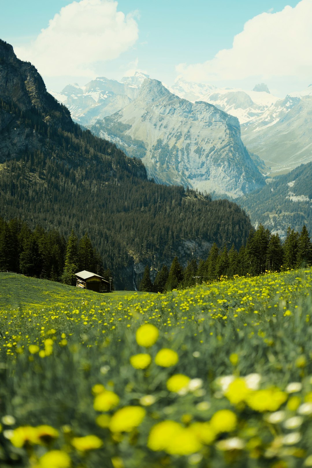 swiss alps landscape